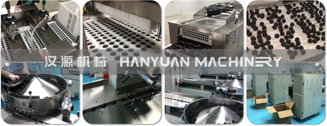  汉源HY-ML260黑芝麻球芝麻丸模具成型机