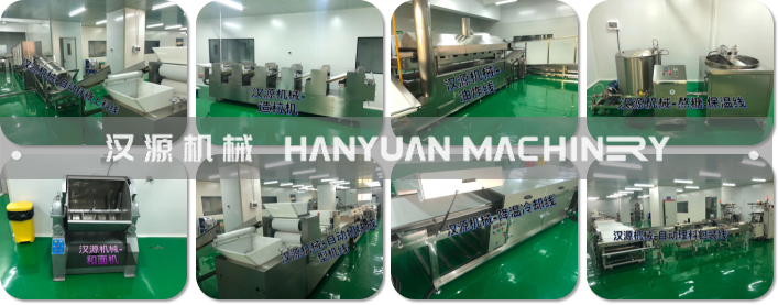 HY-FD520全自動連續(xù)性油炸機