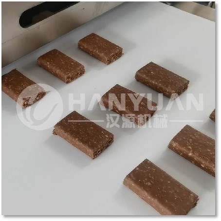 漢源蛋白棒擠出機 蛋白棒設備 蛋白棒成型機