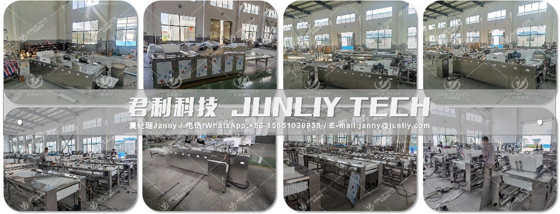 黑芝麻丸沖壓成型機器